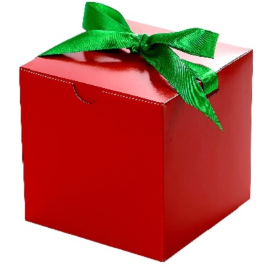individual ornament gift boxes